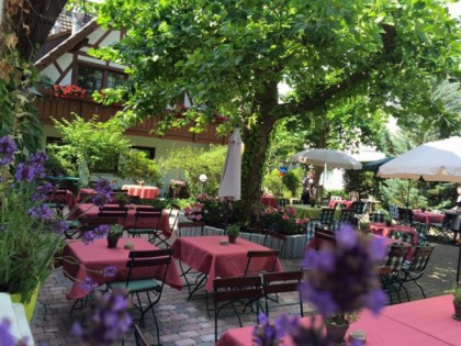Foto: Gasthof Pflug